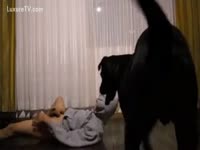 Black dog force beastiality sex with her owner